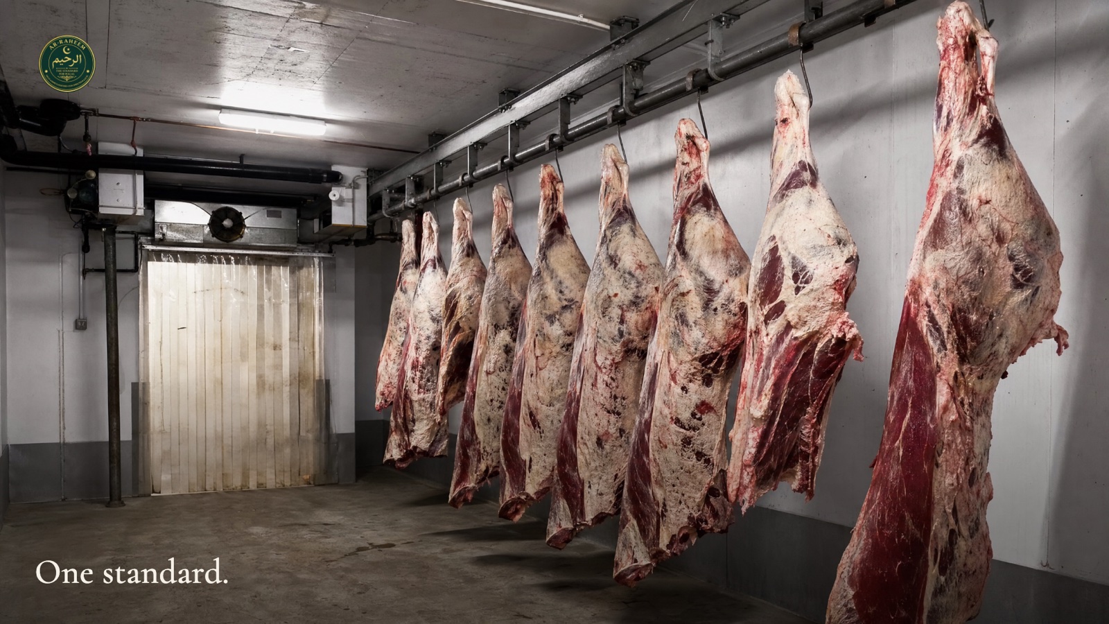 Beef carcasses hanging in the AR-RAHEEM cold room